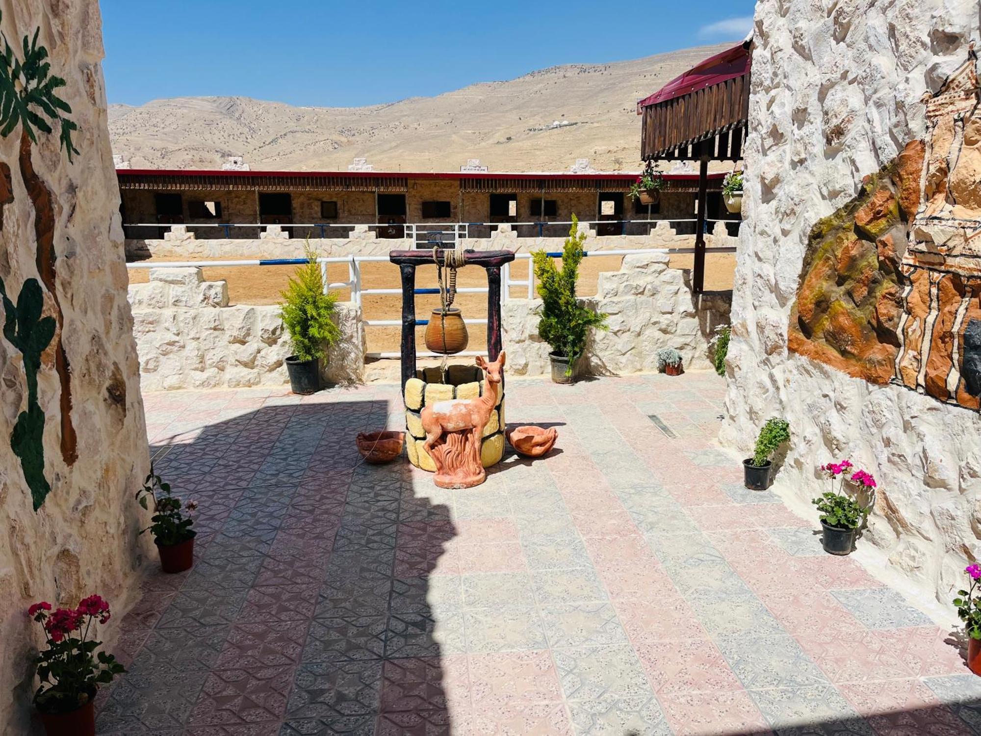 Petra Royal Ranch Bed and Breakfast Wadi Musa Buitenkant foto