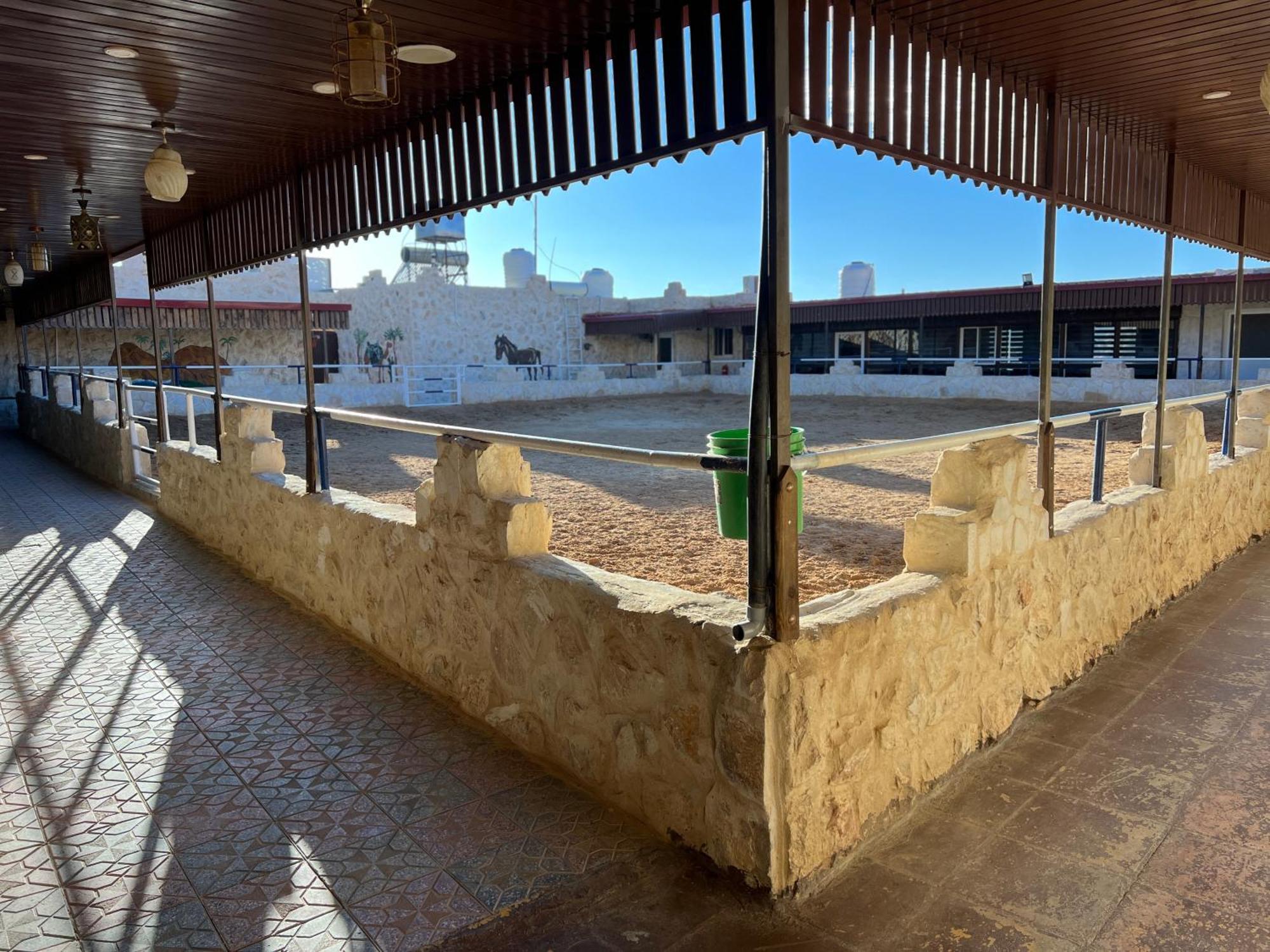 Petra Royal Ranch Bed and Breakfast Wadi Musa Buitenkant foto